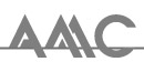 transparent werbeagentur Chemnitz – Logo AMC Systeme